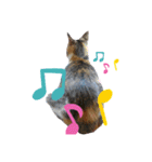 猫らぶらぶ（個別スタンプ：8）