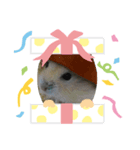 ごま きな！！（個別スタンプ：6）