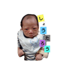 惺太郎スタンプ（個別スタンプ：3）