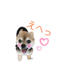 うちのMIXナッツ（個別スタンプ：16）