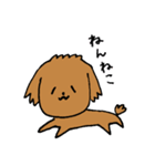 茶色いトイプードルのゆるい毎日（個別スタンプ：10）