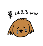 茶色いトイプードルのゆるい毎日（個別スタンプ：23）