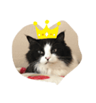 ジム♡ミミ 猫スタンプ（個別スタンプ：3）
