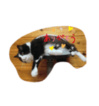 ジム♡ミミ 猫スタンプ（個別スタンプ：4）