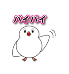 文鳥ぶん太とお洒落メガネさん（個別スタンプ：11）