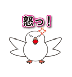 文鳥ぶん太とお洒落メガネさん（個別スタンプ：36）