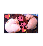 ショコラ姫とジュジュ3（個別スタンプ：2）