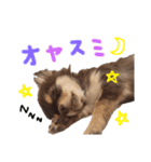 うにちゃんすたんぷ2（個別スタンプ：4）