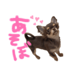 うにちゃんすたんぷ2（個別スタンプ：7）