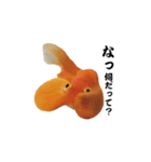 ぷにぷに金魚（個別スタンプ：1）