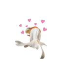 ぷにぷに金魚（個別スタンプ：10）