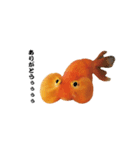 ぷにぷに金魚（個別スタンプ：18）