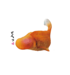 ぷにぷに金魚（個別スタンプ：19）