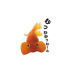 ぷにぷに金魚（個別スタンプ：21）