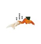 ぷにぷに金魚（個別スタンプ：23）