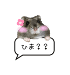 ふわハム日常（個別スタンプ：10）