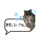 ふわハム日常（個別スタンプ：18）