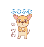 タイ語・日本語通訳チワワ犬のカッパーくん（個別スタンプ：2）