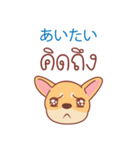 タイ語・日本語通訳チワワ犬のカッパーくん（個別スタンプ：5）