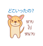 タイ語・日本語通訳チワワ犬のカッパーくん（個別スタンプ：11）