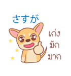 タイ語・日本語通訳チワワ犬のカッパーくん（個別スタンプ：19）