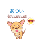 タイ語・日本語通訳チワワ犬のカッパーくん（個別スタンプ：23）