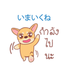 タイ語・日本語通訳チワワ犬のカッパーくん（個別スタンプ：30）