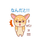 タイ語・日本語通訳チワワ犬のカッパーくん（個別スタンプ：32）