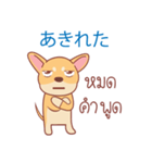 タイ語・日本語通訳チワワ犬のカッパーくん（個別スタンプ：40）