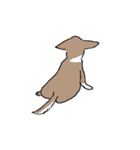 粋丸 the DOG（個別スタンプ：6）