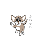 粋丸 the DOG（個別スタンプ：40）