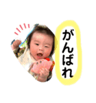 はろーりったん（個別スタンプ：3）