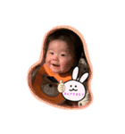 はろーりったん（個別スタンプ：10）