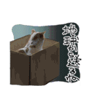焼きそば星に住む不思議な生き物（個別スタンプ：10）