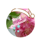クリスマス＆誕生日スタンプ（個別スタンプ：3）