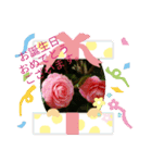 クリスマス＆誕生日スタンプ（個別スタンプ：5）