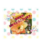 クリスマス＆誕生日スタンプ（個別スタンプ：8）