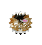 ラーメン歓（個別スタンプ：2）
