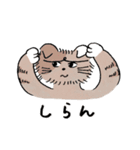 NYANDA Sticker（個別スタンプ：5）