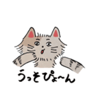 NYANDA Sticker（個別スタンプ：11）