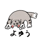 NYANDA Sticker（個別スタンプ：15）