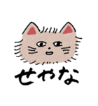 NYANDA Sticker（個別スタンプ：31）