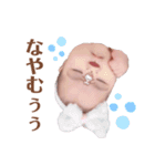ロコぴよ3（個別スタンプ：15）