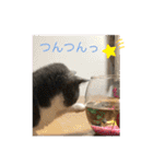 シェリぽんとゆかいな仲間たち（個別スタンプ：22）