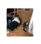 シェリぽんとゆかいな仲間たち（個別スタンプ：30）