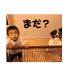るーくんの毎日スタンプ（個別スタンプ：38）