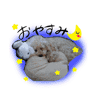ぽこちゃんすたんぷ（個別スタンプ：2）