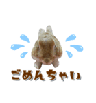 うちの子シリーズ『うさぎのムギちゃん』②（個別スタンプ：5）