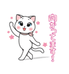 しろねこまる☆彡（個別スタンプ：34）