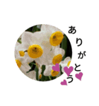 cute お花でスタンプ（個別スタンプ：6）